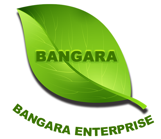 BANGARA ENTERPRISE Company